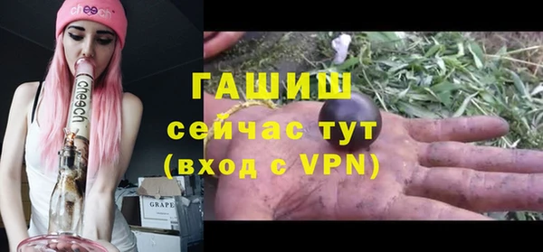 гашик Гусев