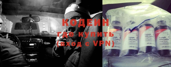гашик Гусев