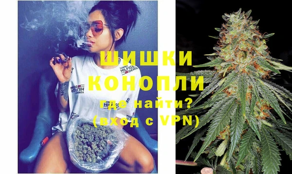 гашик Гусев