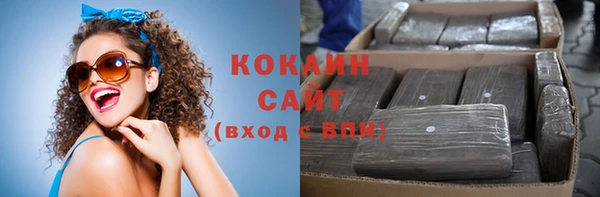 гашик Гусев