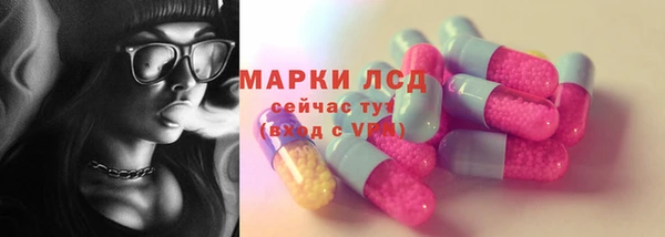 гашик Гусев