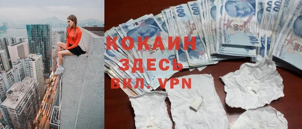 гашик Гусев
