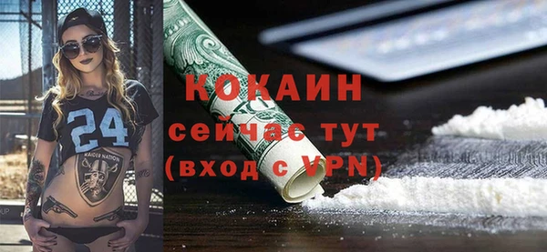 Альфа ПВП Гусь-Хрустальный