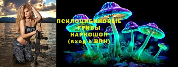 гашик Гусев