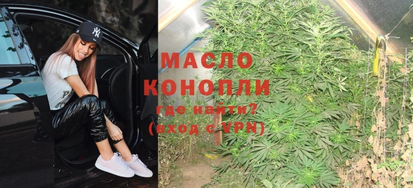 стаф Дмитриев