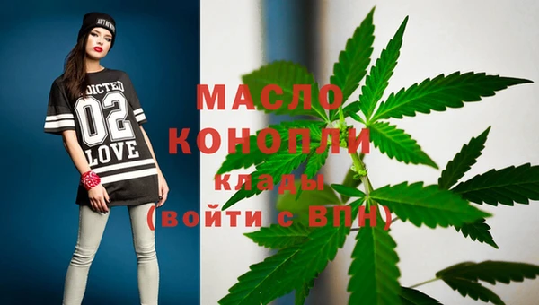 гашик Гусев