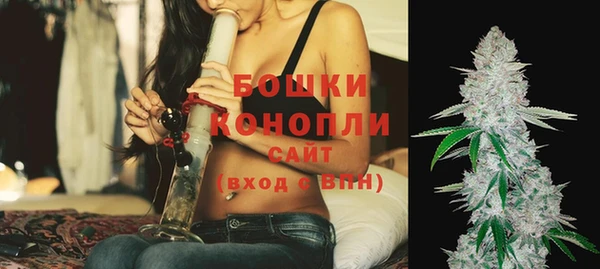 гашик Гусев