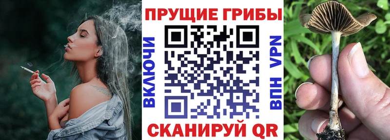 Псилоцибиновые грибы ЛСД  Купить закладки  Карабаш 